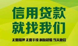 东莞民间私借空放短借-东莞民间信用贷款哪家好-东莞民间私人贷款都有哪些平台